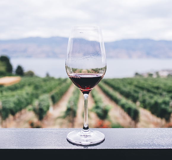 Wine tours in Detroit