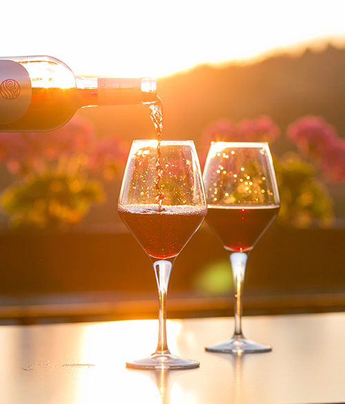 MI wine tours