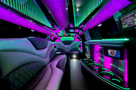 Port Huron limo services