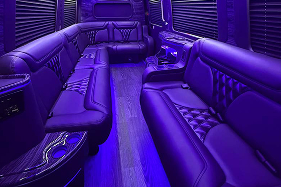 Limo van rental in Detroit