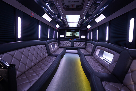 Port Huron party buses
